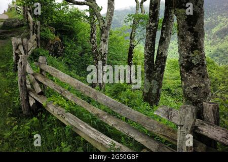 Sentier le long des Great Craggy Mountains, Blue Ridge Parkway, Caroline du Nord. Banque D'Images