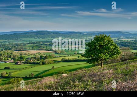 Wenlock Edge et APE Dale, vus de Ragleth Hill, Church Stretton, Shropshire Banque D'Images