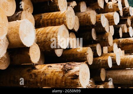 Hausach, Allemagne. 07e juin 2021. Les troncs d'arbres écorchés se trouvent dans la cour en bois sur les locaux d'une scierie. Les prix du bois sur le marché mondial ont fortement augmenté ces derniers temps, et ce changement se fait également sentir dans les Scieries du sud-ouest. Credit: Philipp von Ditfurth/dpa/Alay Live News Banque D'Images
