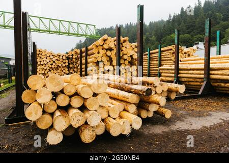 Hausach, Allemagne. 07e juin 2021. Les troncs d'arbres écorchés se trouvent dans la cour en bois sur les locaux d'une scierie. Les prix du bois sur le marché mondial ont fortement augmenté ces derniers temps, et ce changement se fait également sentir dans les Scieries du sud-ouest. Credit: Philipp von Ditfurth/dpa/Alay Live News Banque D'Images