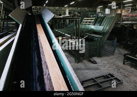 Hausach, Allemagne. 07e juin 2021. Les planches passent par la ligne de coupe dans les locaux d'une scierie. Les prix du bois sur le marché mondial ont fortement augmenté ces derniers temps, et ce changement se fait également sentir dans les Scieries du sud-ouest. Credit: Philipp von Ditfurth/dpa/Alay Live News Banque D'Images