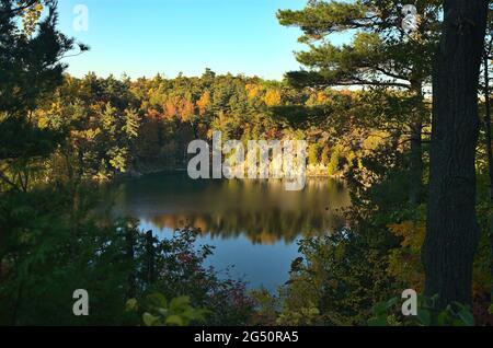 Les feuilles d'automne se reflètent dans l'eau fixe du lac Pink à Gatineau, Québec, Canada Banque D'Images