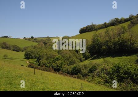 La campagne dans la vallée de la rivière Gara près de Blackawton dans le district de South Hams de Devon. La région est populaire auprès des randonneurs et des randonneurs. Banque D'Images