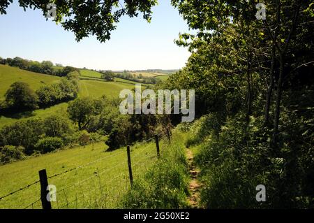 La campagne dans la vallée de la rivière Gara près de Blackawton dans le district de South Hams de Devon. La région est populaire auprès des randonneurs et des randonneurs. Banque D'Images