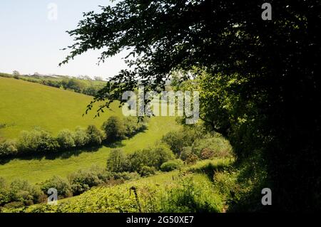 La campagne dans la vallée de la rivière Gara près de Blackawton dans le district de South Hams de Devon. La région est populaire auprès des randonneurs et des randonneurs. Banque D'Images