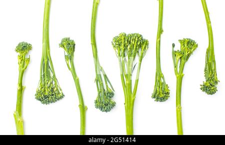 Broccolini cru à la rangée sur fond blanc Banque D'Images