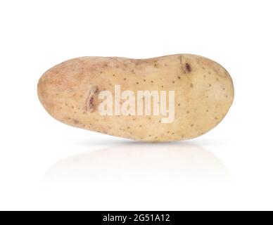 Jeune potatoe isolé sur fond blanc avec ombre et réflexion. Banque D'Images
