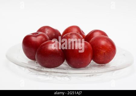 Prunes rouges biologiques crues sur fond blanc, tons de marron rouge, fruits frais brillants. Fruits de la ferme frais bio prunes rouges produits récoltés.servi dans l'assiette sur wh Banque D'Images