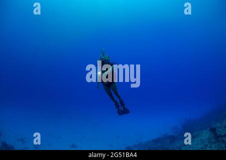 Une jeune femme (MR) brillant une lumière, plongée sous-marine en milieu d'eau au large de l'île de Yap, Micronésie. Banque D'Images