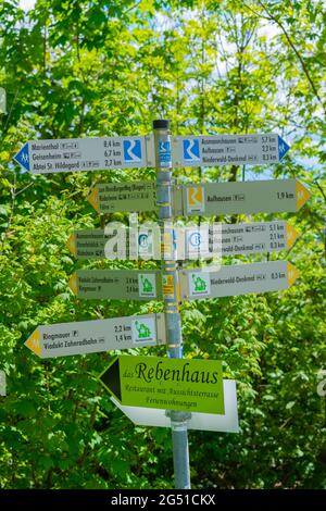 Fingerposts près du Mémorial de Niederwald à Rüdesheim, célèbre village viticole dans le paysage de Rheingau sur le Rhin, Hesse, Allemagne, Europe Banque D'Images