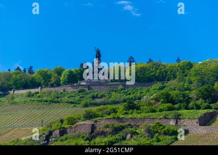 Mémorial Niederwald et vignobles à Rüdesheim, célèbre village viticole dans le paysage de Rheingau sur le Rhin, Hesse, Allemagne, Europe Banque D'Images