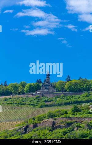 Mémorial Niederwald et vignobles à Rüdesheim, célèbre village viticole dans le paysage de Rheingau sur le Rhin, Hesse, Allemagne, Europe Banque D'Images