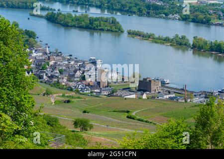 Ville et vignobles vus du Mémorial de Niederwald, Rüdesheim, célèbre village viticole de Rheingau paysage sur le Rhin, Hesse, Allemagne, Europe Banque D'Images