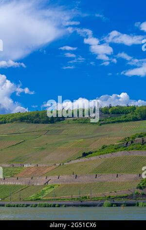 Mémorial Niederwald et vignobles à Rüdesheim, célèbre village viticole dans le paysage de Rheingau sur le Rhin, Hesse, Allemagne, Europe Banque D'Images