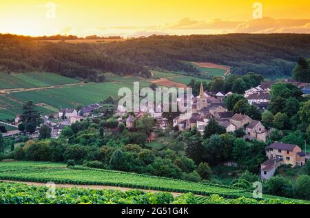 Village et vignobles au coucher du soleil, Pernand-Vergelesses, Côte de Beaune, Bourgogne, France Banque D'Images