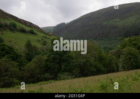 Pont Marteg et Gamallt, près de Rhayader, Powys, pays de Galles, Royaume-Uni Banque D'Images