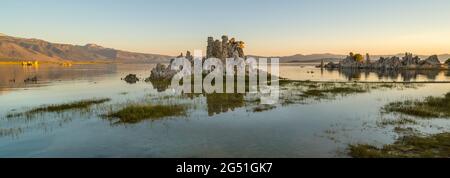 Tours tufa au lever du soleil, Lac Mono, Réserve naturelle de l'État, Comté de Mono, Californie, ÉTATS-UNIS Banque D'Images