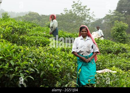 Visages de l'Inde et situations quotidiennes Banque D'Images