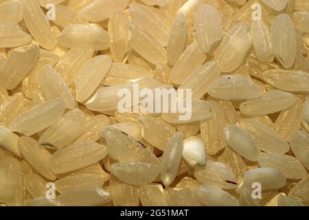 Cuisine garde-manger grains secs, haricots, graines, légumineuses et lentilles Banque D'Images