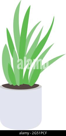 Icône de plante isolée décoration de maison Illustration de Vecteur
