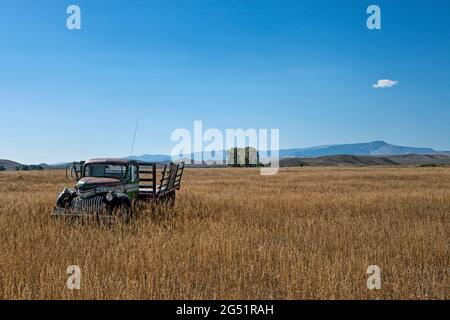 Vieux pick-up abandonné à Field, Wyoming, États-Unis Banque D'Images