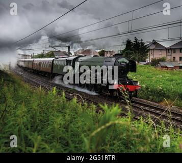 Berwick upon Tweed, Northumberland, Royaume-Uni. 24 juin 2021. Locomotive à vapeur No.60103 le train le plus célèbre au monde le Flying Scotsman se dirige vers le nord lors d'une soirée terne et humide sur son chemin à Édimbourg lors d'une excursion par la Steam Dreams Rail Company. Banque D'Images