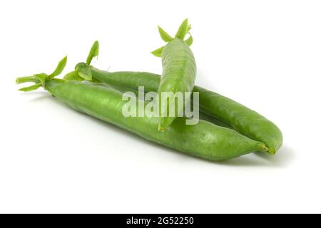 Gousses de pois doux isolées sur fond blanc. Plats végétariens Banque D'Images