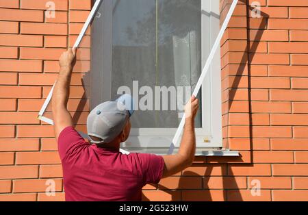 Un homme installe un moustique, un écran de fenêtre d'insecte, une moustiquaire sur une fenêtre de maison pour empêcher les moustiques et les mouches d'entrer dans la maison. Banque D'Images