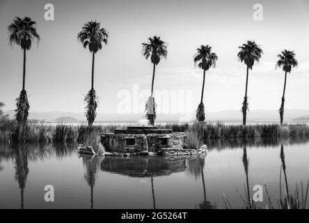 Mojave Desert oasis près de Zzyzx, Californie - noir et blanc Banque D'Images