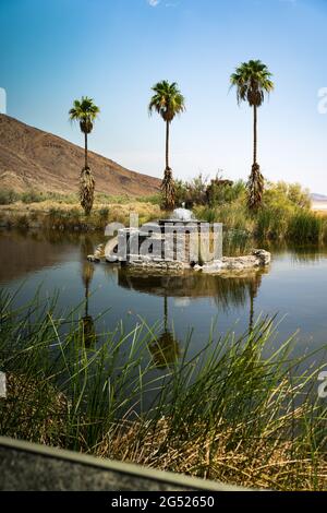 Oasis du désert de Mojave près de Zzyzx, Californie Banque D'Images