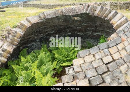 Les restes des fours à coke Inkerman Beehive du début du XIXe siècle, près de Tow Law, Co. Durham, Angleterre, Royaume-Uni Banque D'Images