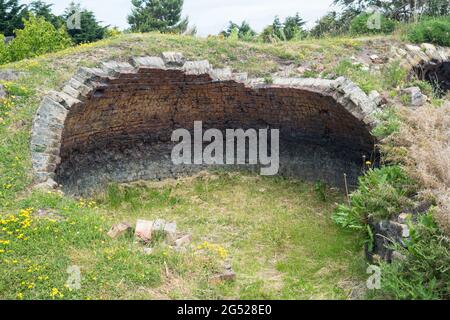 Les restes des fours à coke Inkerman Beehive du début du XIXe siècle, près de Tow Law, Co. Durham, Angleterre, Royaume-Uni Banque D'Images