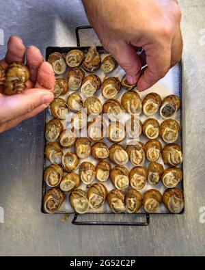 Le chef du restaurant CAN Josep (Josep Montoya), à Bot, préparant quelques "Cargols a la llauna" (escargots de terre cuits sur un moule en étain) Terra Alta, Espagne Banque D'Images