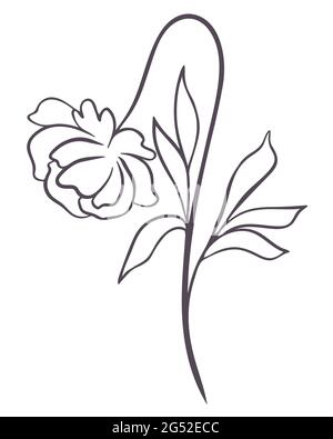 Belle fleur avec draps. Tracé d'une ligne continue. Illustration vectorielle. Fleur moderne et minimaliste à la mode avec pétales en fleurs.