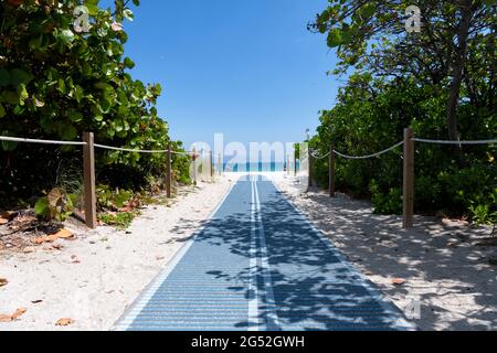 Sentier menant à la plage de sable à travers les dunes de Miami, aux États-Unis Banque D'Images