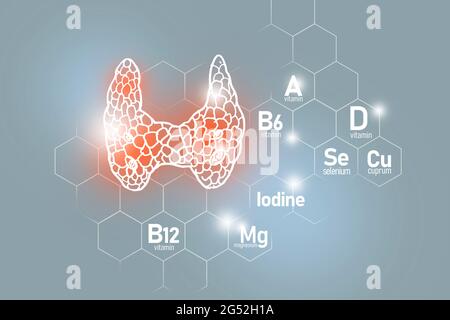 Nutriments essentiels pour la santé des terres de thyroïde, y compris l'iode, Selenuim, vitamine B6, Cuprum. Ensemble de conception d'organes humains avec des vitamines Banque D'Images