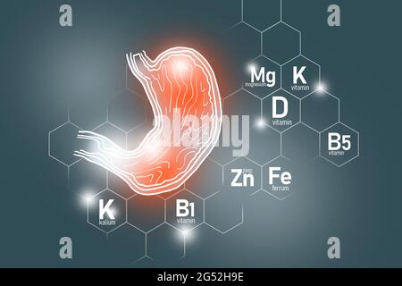 Nutriments essentiels pour la santé de l'estomac, y compris le zinc, le Kalium, la vitamine B5, le Ferrum. Ensemble de conception des principaux organes humains avec des vitamines Banque D'Images