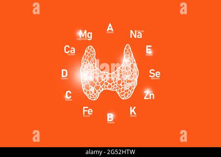Cadran stylisé avec vitamines essentielles et microéléments pour la santé humaine, glande thyroïde dessinée à la main, fond rouge. Banque D'Images