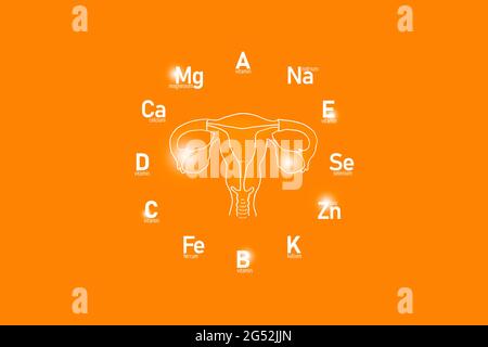 Cadran stylisé avec vitamines et microéléments essentiels pour la santé humaine, utérus dessiné à la main, fond orange. Banque D'Images