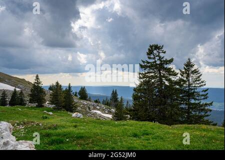 Paysage typique du jura suisse près du Mont Tendre Banque D'Images