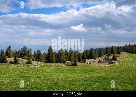 Paysage typique du jura suisse avec un pré et une forêt près du Mont Tendre Banque D'Images