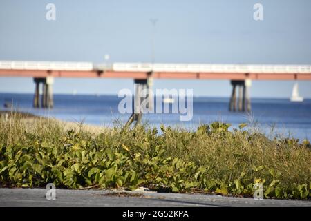 SCÈNE DE L'EAU DE BRIBIEISLAND Banque D'Images