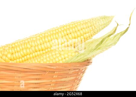 Plusieurs épis de maïs doux avec une plaque de paille, gros plan, sur fond blanc. Banque D'Images