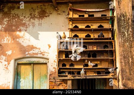 Pigeon House. J'ai pris cette photo le 5 novembre 2019, de Sonargaon, Bangladesh, South Aisa Banque D'Images