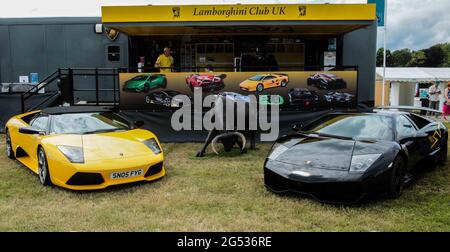 Londres, Royaume-Uni. 25 juin 2021. Le London Classic car Show vient à Syon Park avec les toujours favoris Lamborghini.Paul Quezada-Neiman/Alay Live News crédit: Paul Quezada-Neiman/Alay Live News Banque D'Images