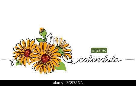 Calendula, illustration vectorielle de fleurs marigold, arrière-plan pour la conception d'étiquettes. Une illustration de dessin au trait continu avec lettrage organique Illustration de Vecteur