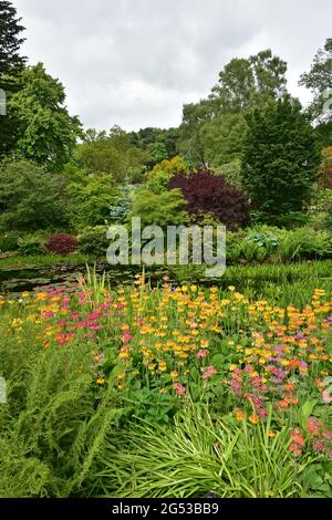 Petit étang, RHS Harlow Carr Gardens, Harrogate , North Yorkshire Banque D'Images