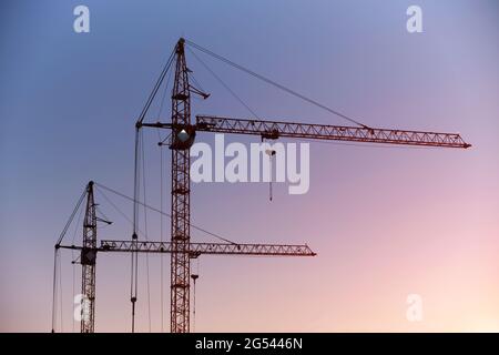 Silhouettes hautes grues contre bleu rose soleil ciel Banque D'Images