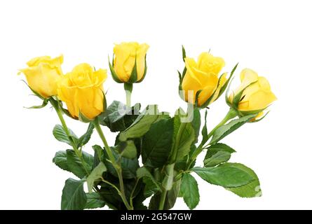 Bouquet de cinq roses jaunes avec des feuilles vertes isolées sur blanc Banque D'Images