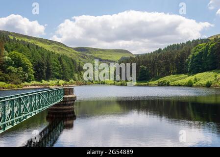 Promenade réservoir de bois entre Holmfirth et les collines de Pennine dans le West Yorkshire, dans le nord de l'Angleterre. Banque D'Images